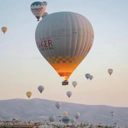 Noah's Ark Cave Hotel